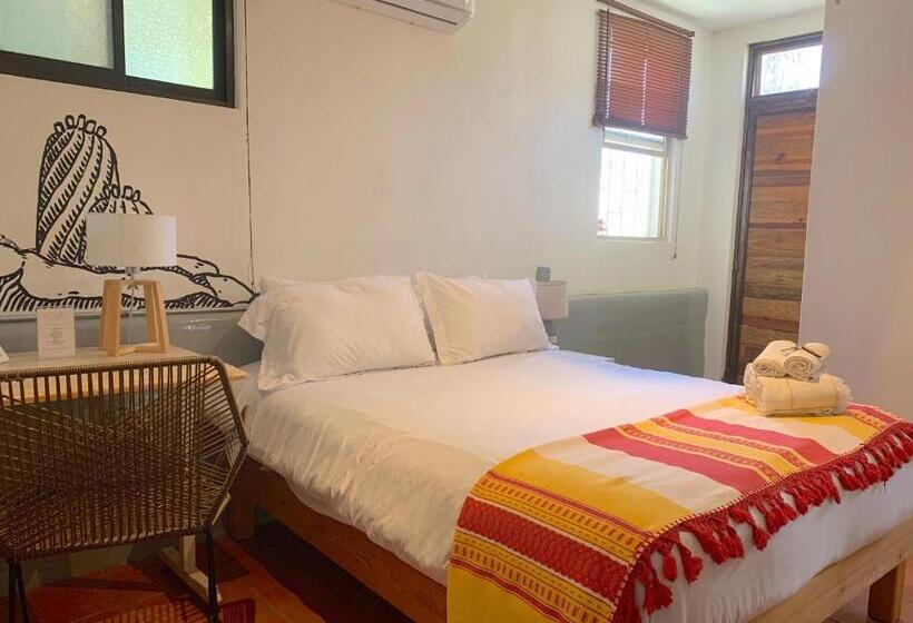 스탠다드 룸 킹사이즈 침대, Perro Surfero Todos Santos