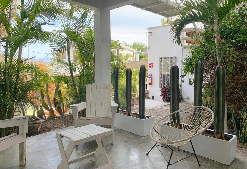 스탠다드 룸 킹사이즈 침대, Perro Surfero Todos Santos