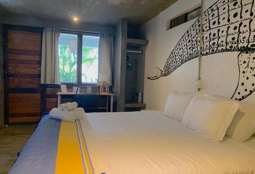 스탠다드 룸 킹사이즈 침대, Perro Surfero Todos Santos