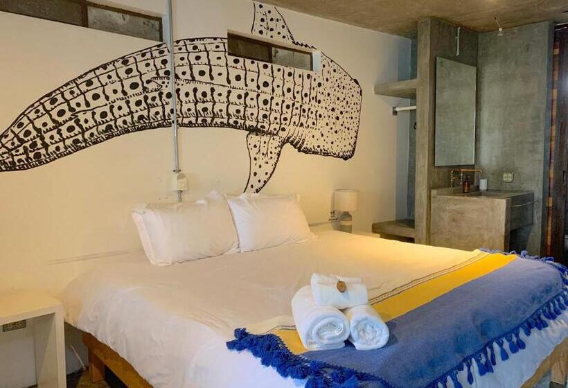 스탠다드 룸 킹사이즈 침대, Perro Surfero Todos Santos