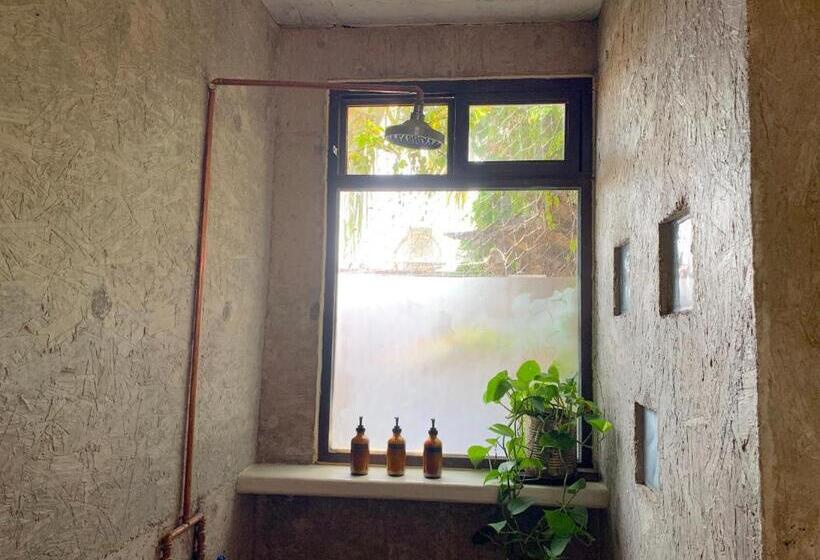 带大床的标准间, Perro Surfero Todos Santos
