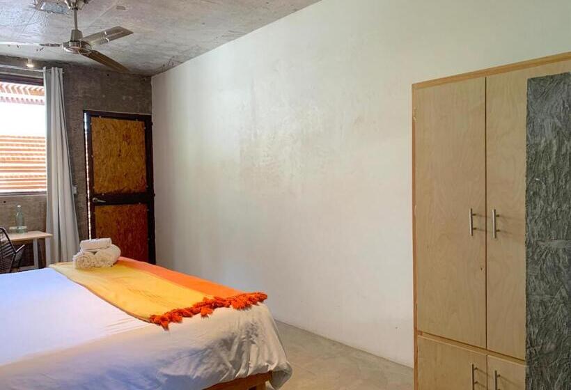 스탠다드 룸 킹사이즈 침대, Perro Surfero Todos Santos