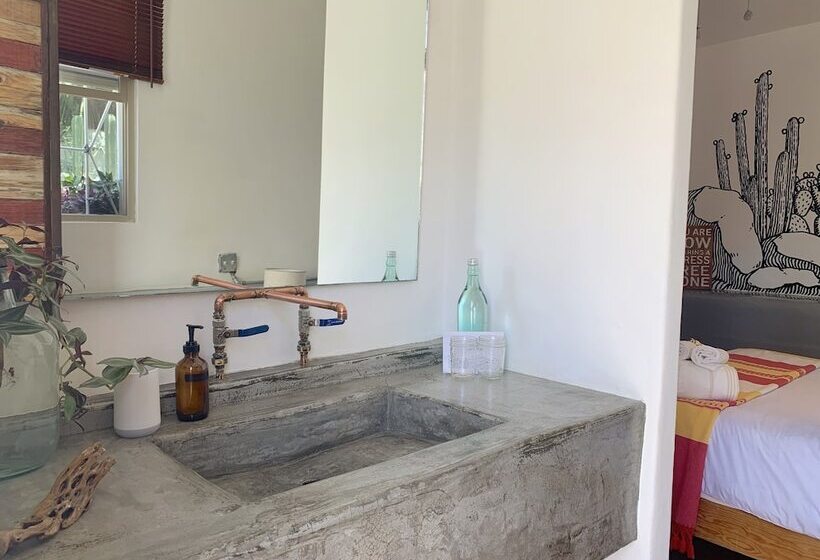 스탠다드 룸, Perro Surfero Todos Santos