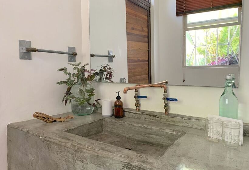 스탠다드 룸, Perro Surfero Todos Santos