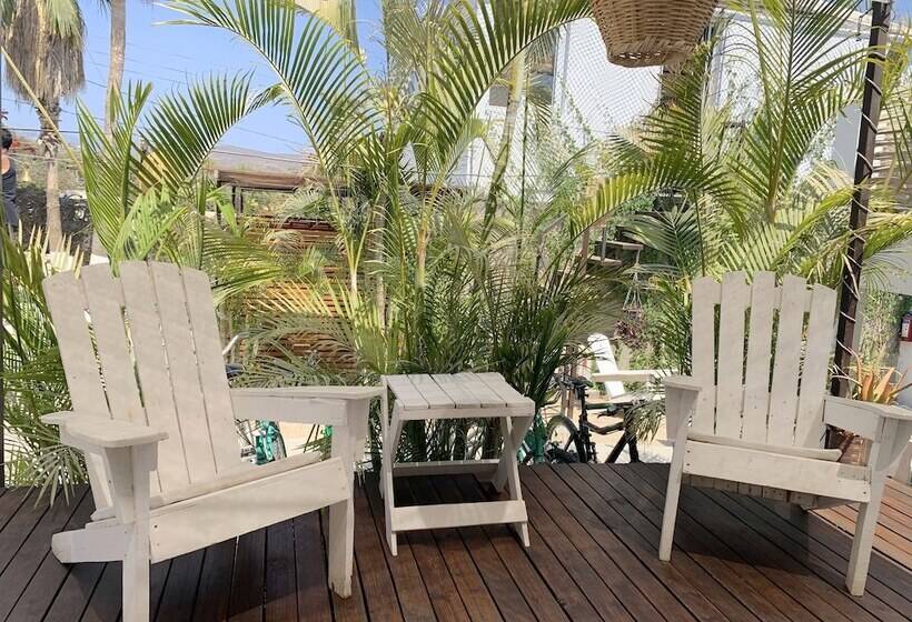 스탠다드 룸, Perro Surfero Todos Santos