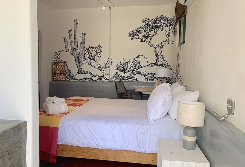 스탠다드 룸, Perro Surfero Todos Santos