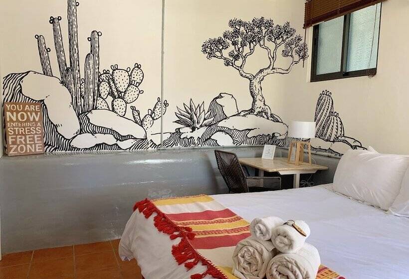 스탠다드 룸, Perro Surfero Todos Santos