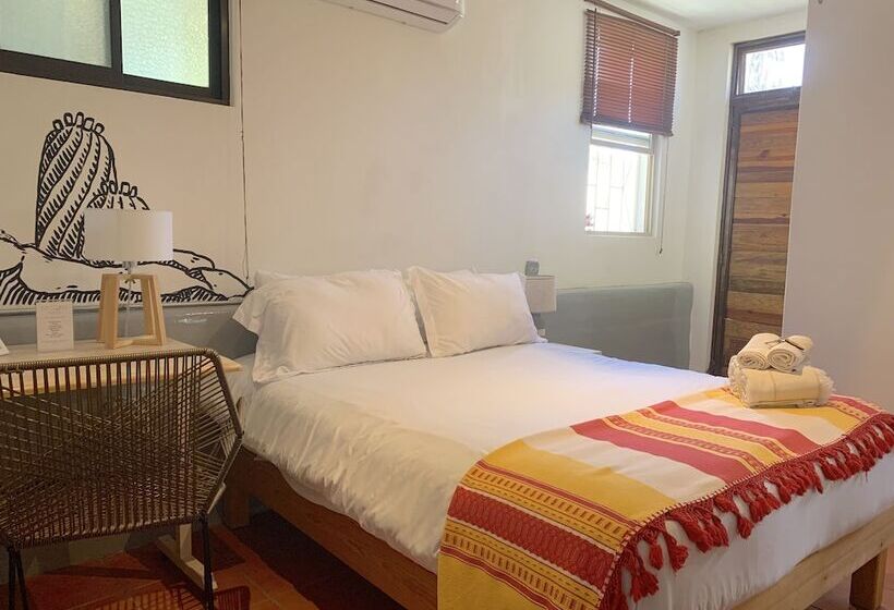 스탠다드 룸, Perro Surfero Todos Santos