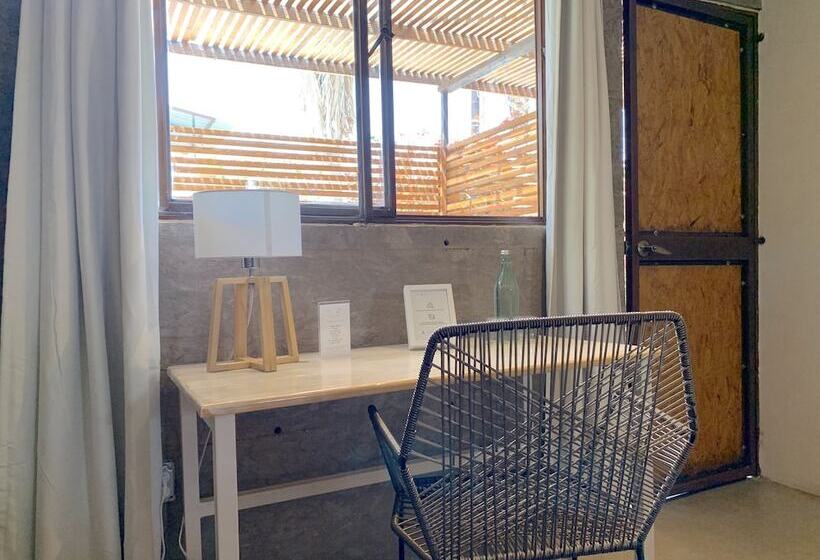 스탠다드 룸, Perro Surfero Todos Santos