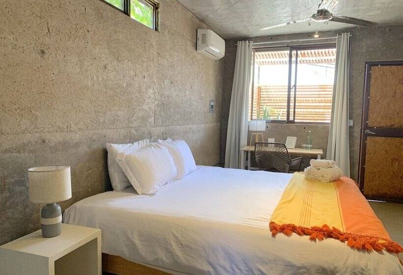 스탠다드 룸, Perro Surfero Todos Santos