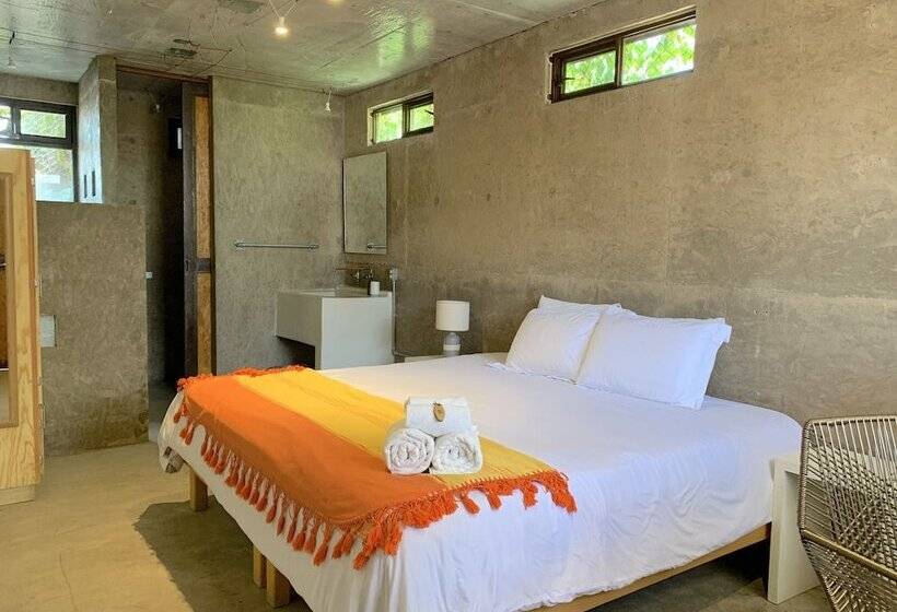 스탠다드 룸, Perro Surfero Todos Santos