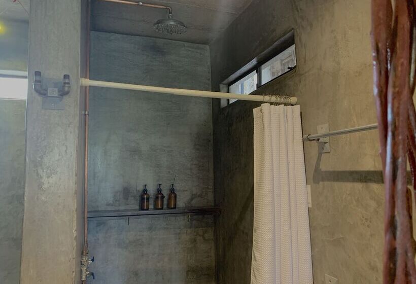 스탠다드 룸, Perro Surfero Todos Santos