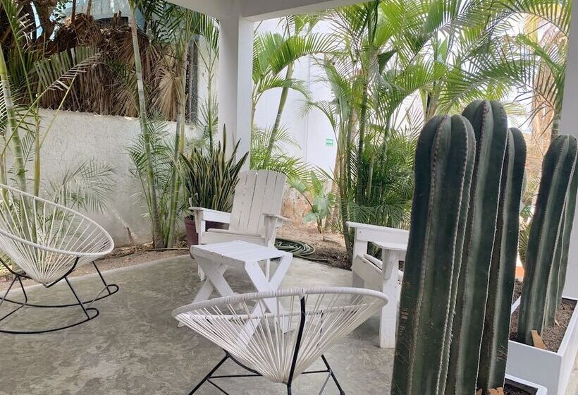 스탠다드 룸, Perro Surfero Todos Santos