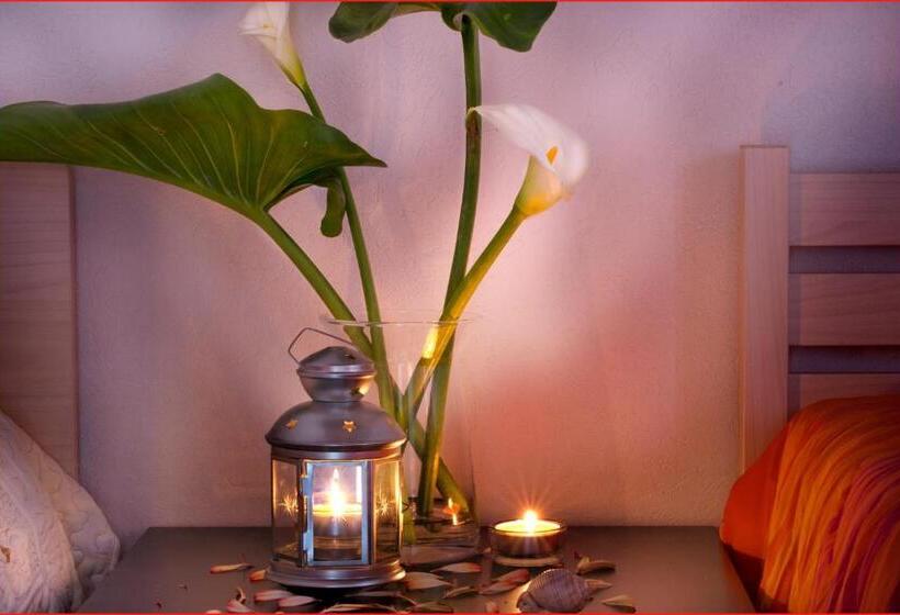 베이직 3인 룸, Ai Parchi Dei Parrini