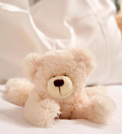 バルコニー付きスタンダードルーム, Gasthof Ellmauer Hof