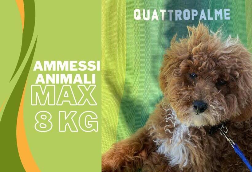 غرفة عائلية, Quattropalme