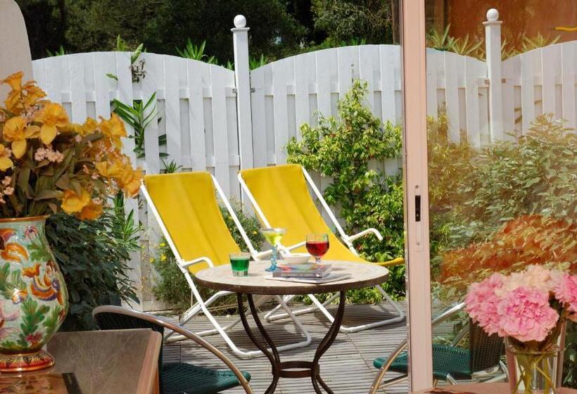 ガーデンビュースタンダードルーム, Roc