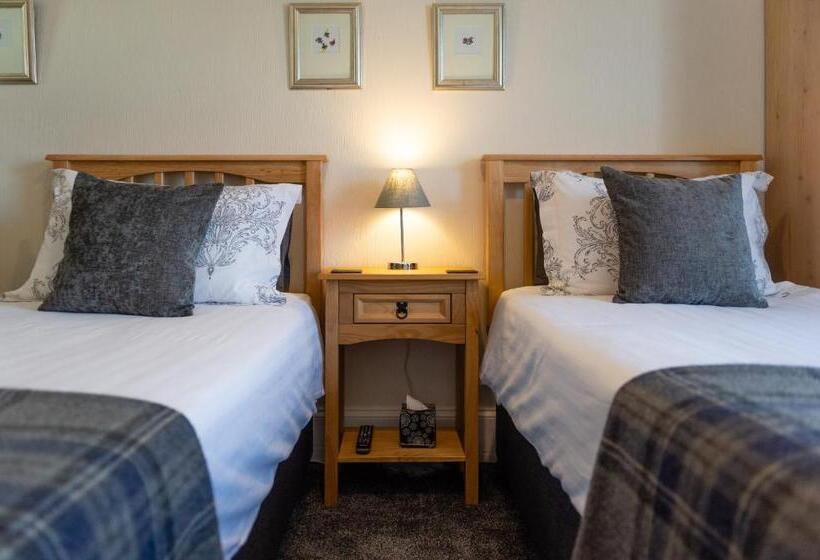 标准间, Blue Swallow