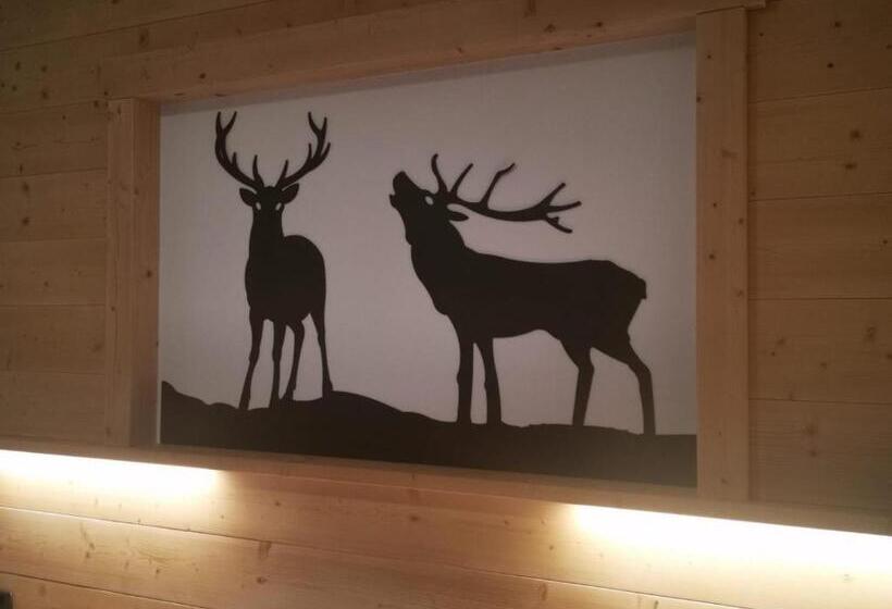 غرفة قياسية, Rosalpina