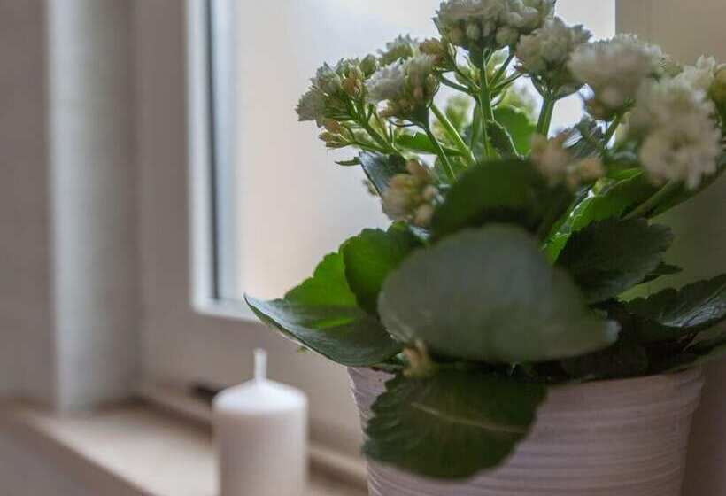 Номер Стандарт, Ristorante Hotel Lucia 100 Mt Dal Mare