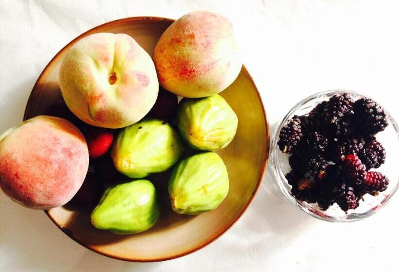 스탠다드 발코니 룸 바다 전망, Al Vecchio Pontile Bed And Breakfast