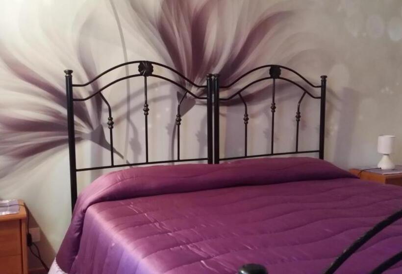 Номер Стандарт, Pineta Monserrato