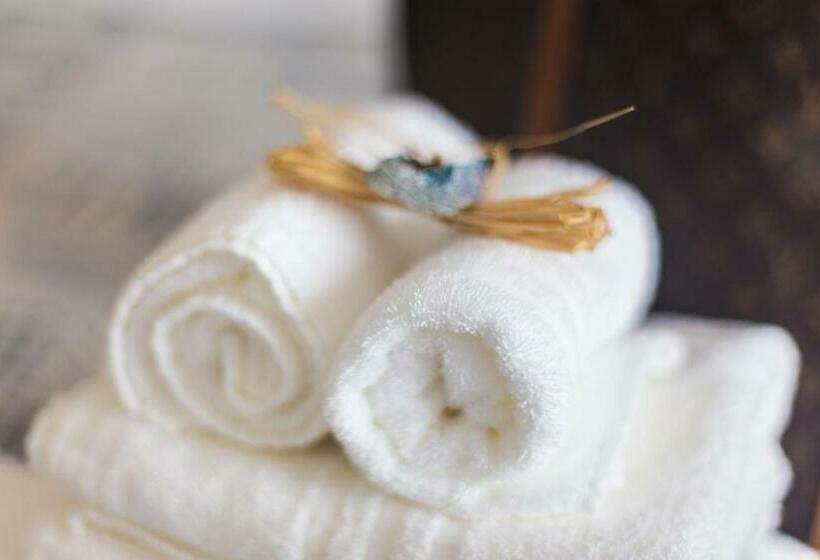 Habitació Estàndard, Lucerna