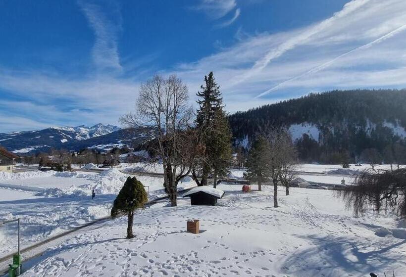 غرفة سوبيريور, Stierer