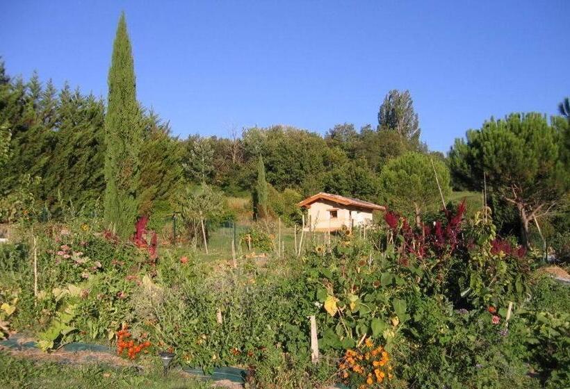 Номер Стандарт, La Source, Vegetarian Guest House
