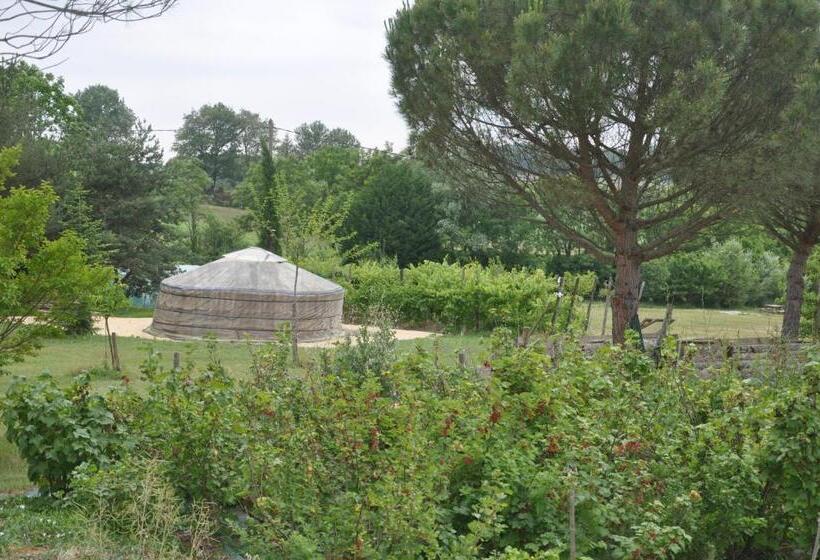 Номер Стандарт, La Source, Vegetarian Guest House