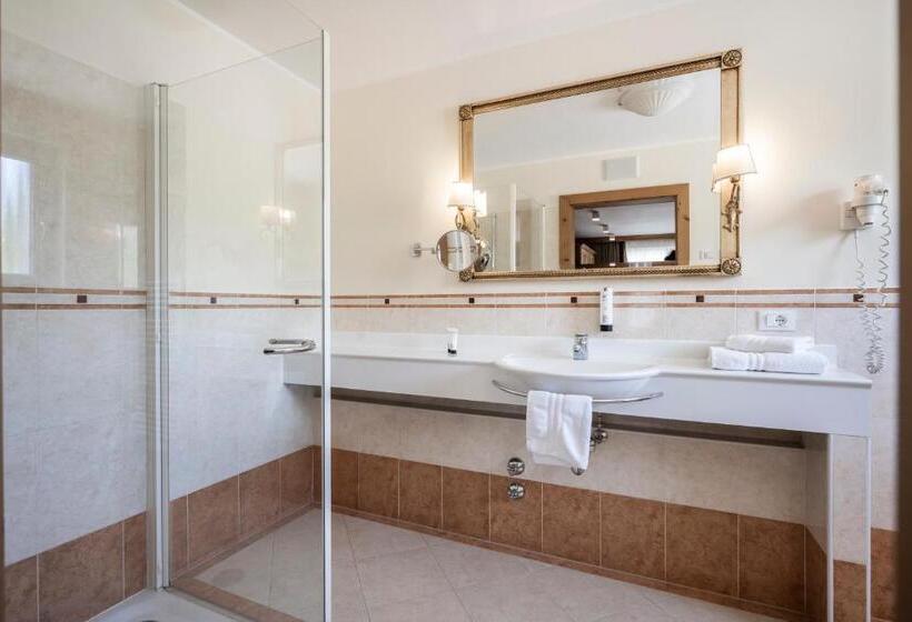 标准间, Alpine Spa Resort Viktoria