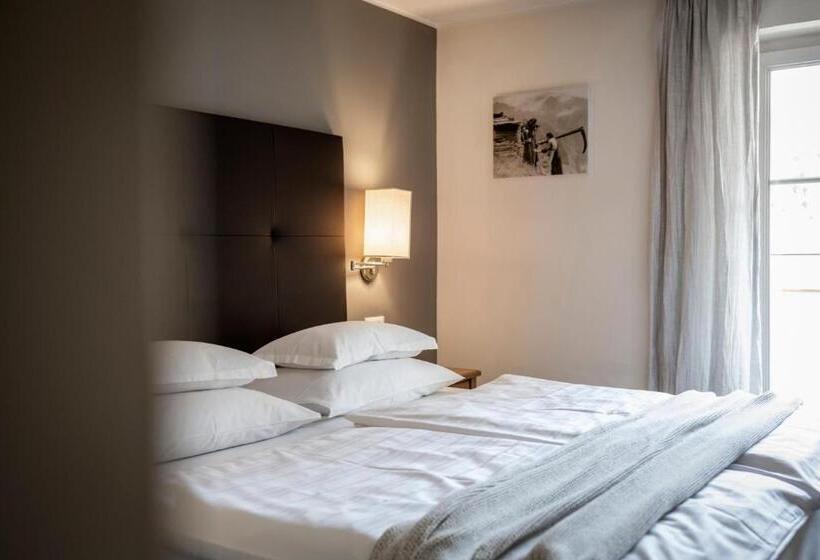 基本间, Alpine Spa Resort Viktoria