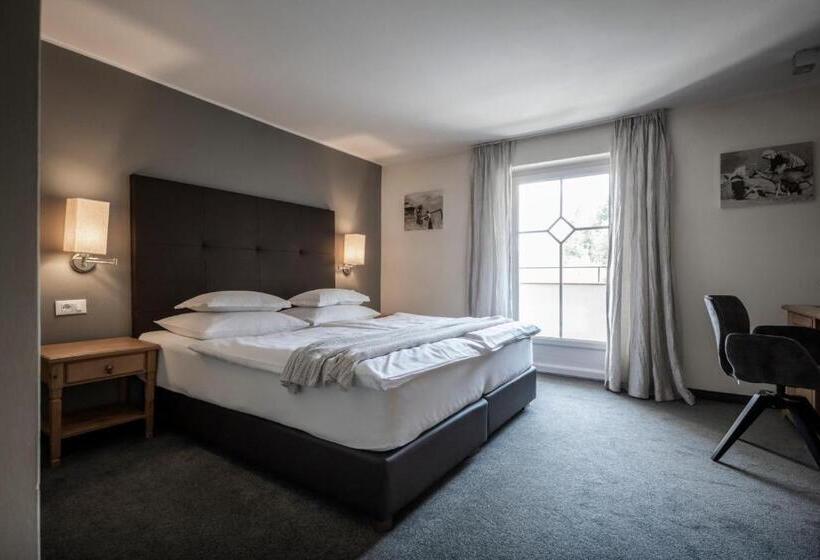 基本间, Alpine Spa Resort Viktoria