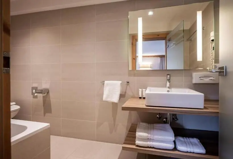 エコノミールーム, Alpine Spa Resort Viktoria