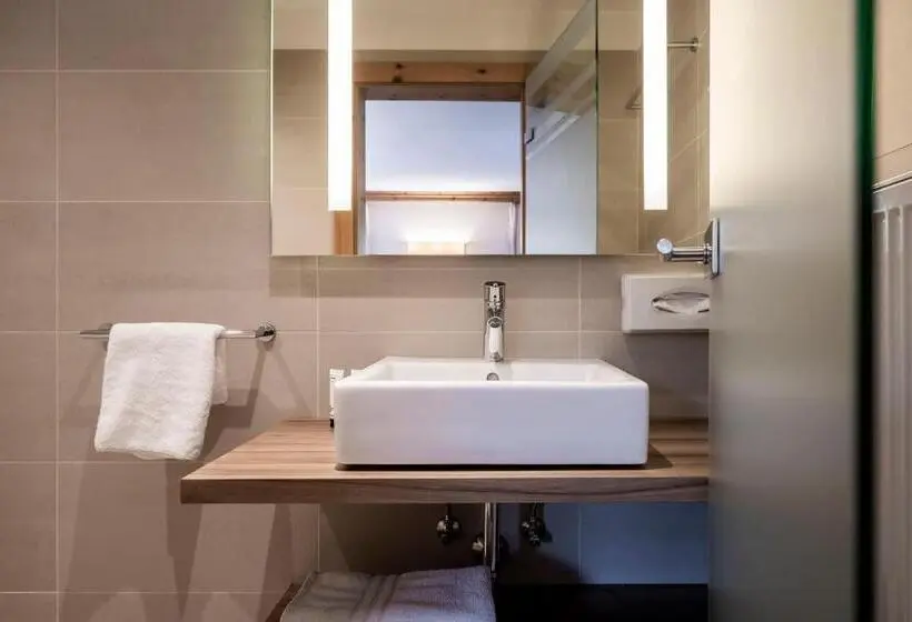 エコノミールーム, Alpine Spa Resort Viktoria