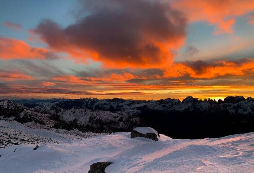 חדר סטנדרט לארבעה, Ferrari