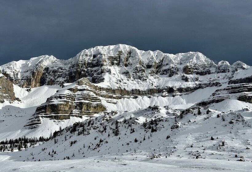 חדר סטנדרט יחיד, Ferrari