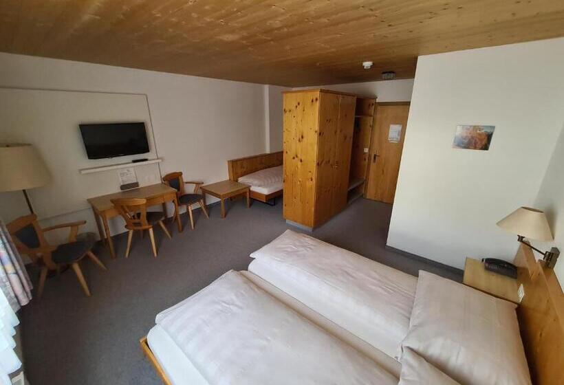 חדר סטנדרט לשלושה, Stätzerhorn