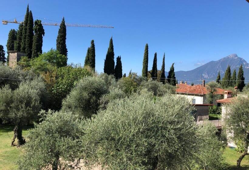 غرفة قياسية مطلّة علي الحديقة, Zanetti