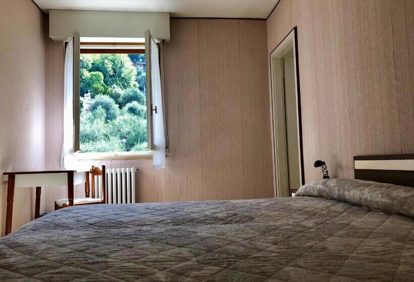 غرفة قياسية مطلة على الجبل, Zanetti