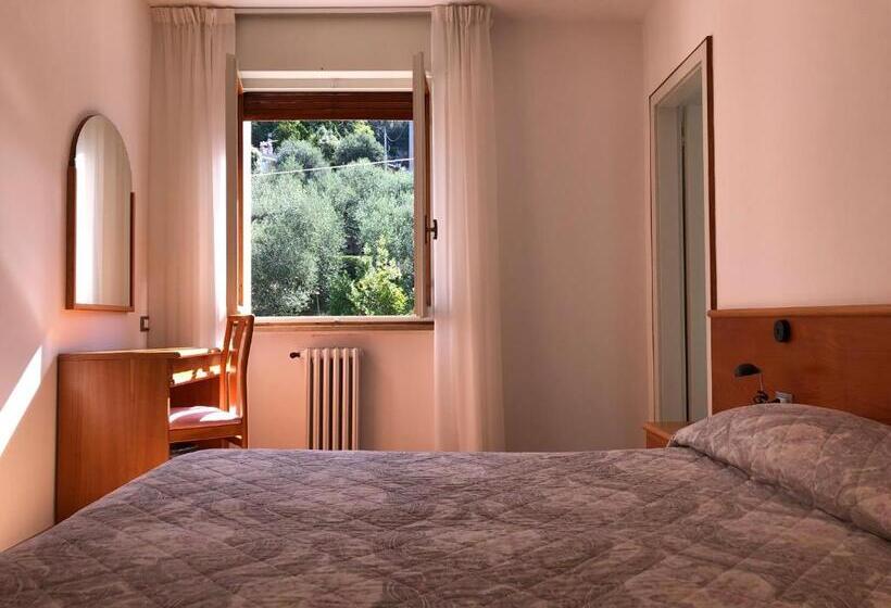 غرفة قياسية مطلة على الجبل, Zanetti