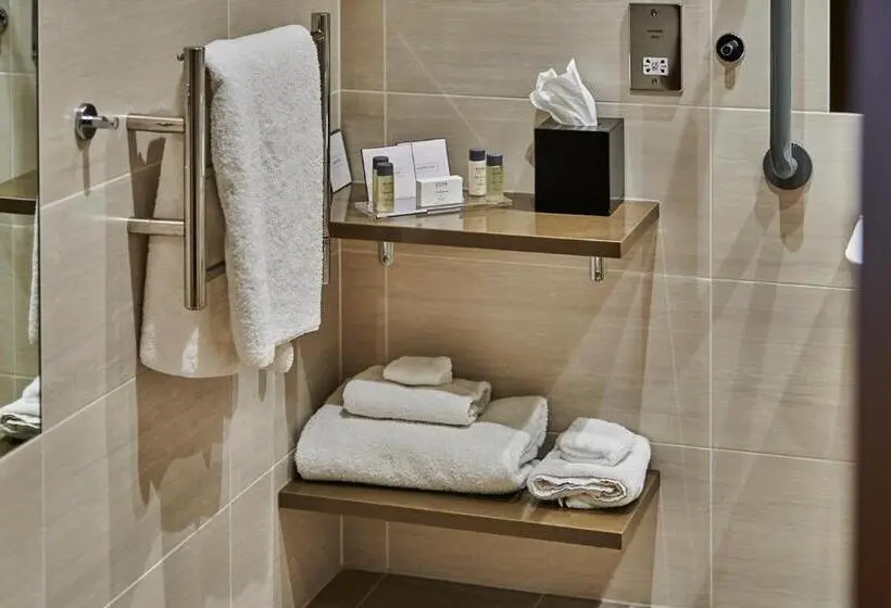 Standard-invahuone, Genting Hotel & Spa At Resorts World Birmingham