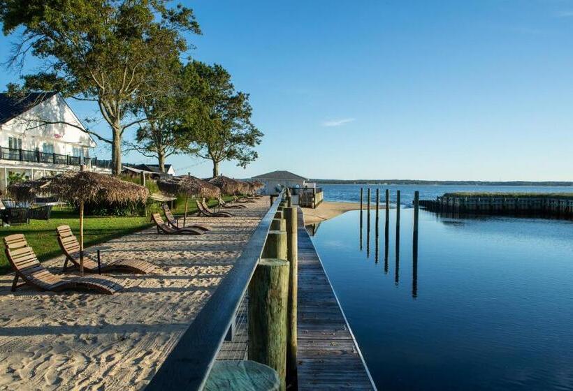 جناح جونيور مطلّ علي البحر, Aqua By American Beech   Adults Only