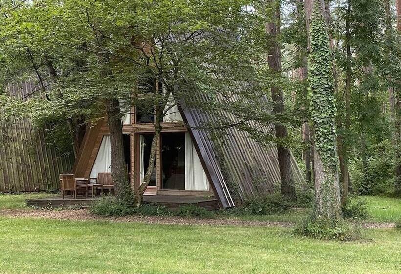 شاليه غرفة نوم واحدة, Chateau De Razay