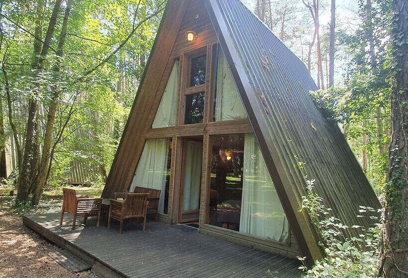 شاليه غرفة نوم واحدة, Chateau De Razay