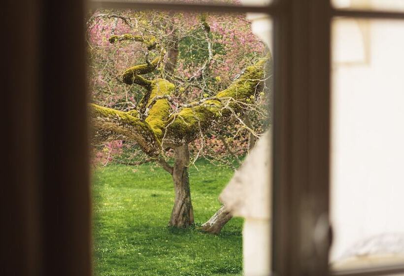 غرفة قياسية, Chateau De Razay