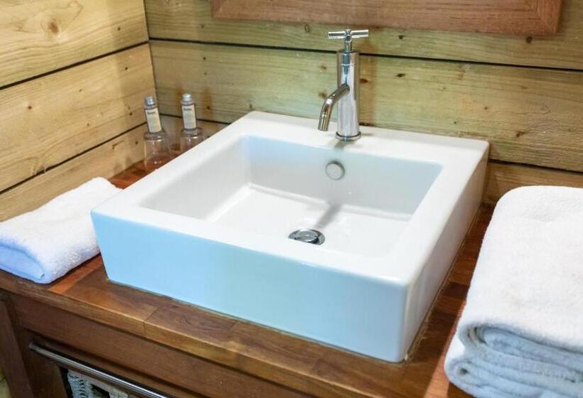 شاليه غرفة نوم واحدة, Chateau De Razay