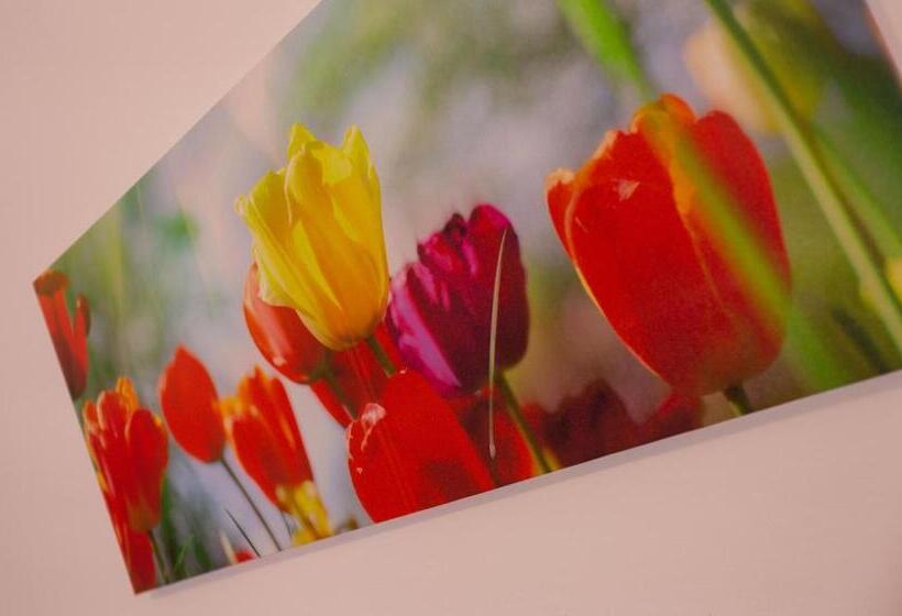 标准间, Residence Sirenella