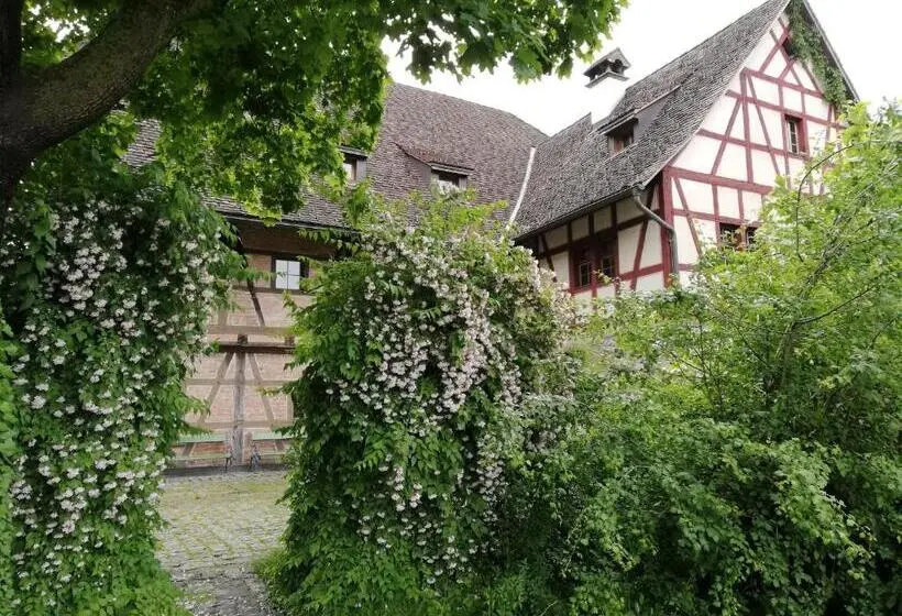 共同バス付シェアルーム, Jugendherberge Feldkirch