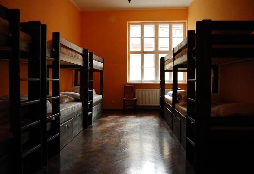 تختخواب در اتاق مشترک, The Little Havana Party Hostel